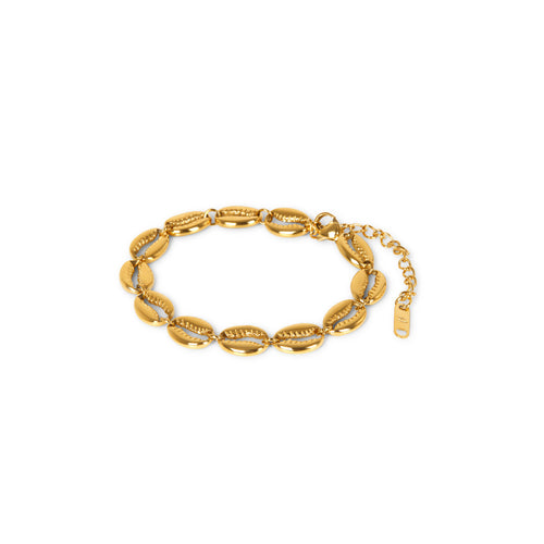 Shell Link Chain Bracelet - Gold Tone