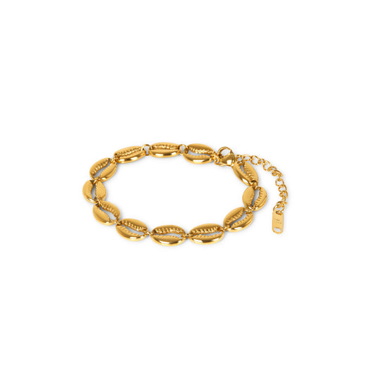 Shell Link Chain Bracelet - Gold Tone